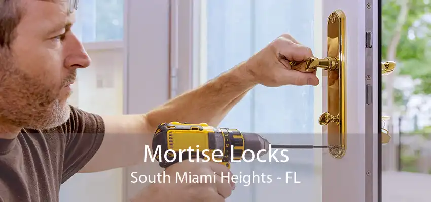 Mortise Locks South Miami Heights - FL